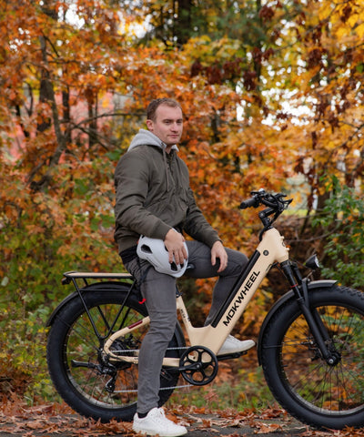 Mokwheel Mesa Plus ST - best budget e mountain bike
