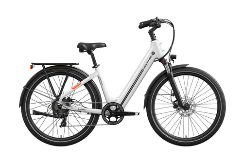 Asphalt ST Ebike