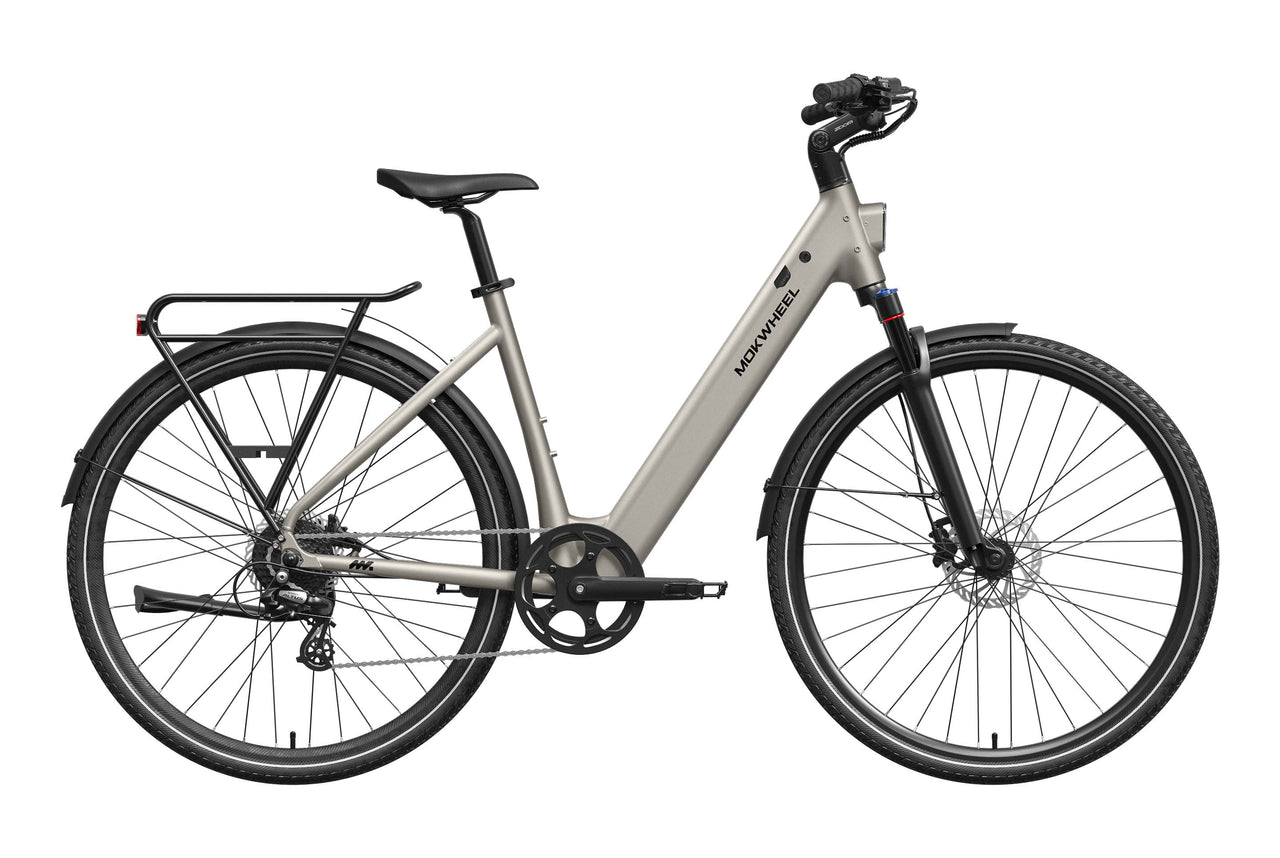FLINT ST Ebike