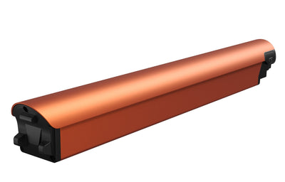 Battery(FLINT)