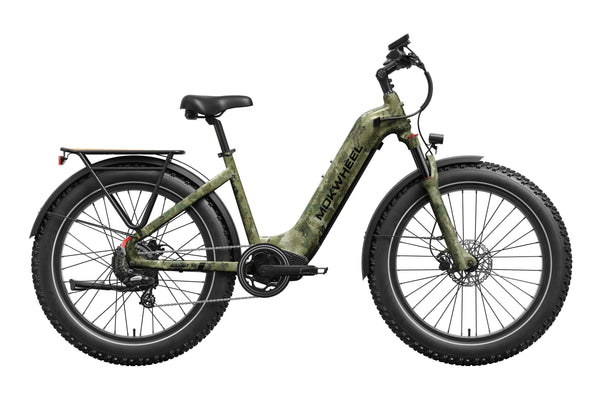 Basalt ST 2.0 Ebike
