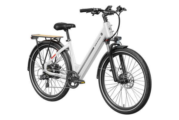 Asphalt ST EbikeStandard / White