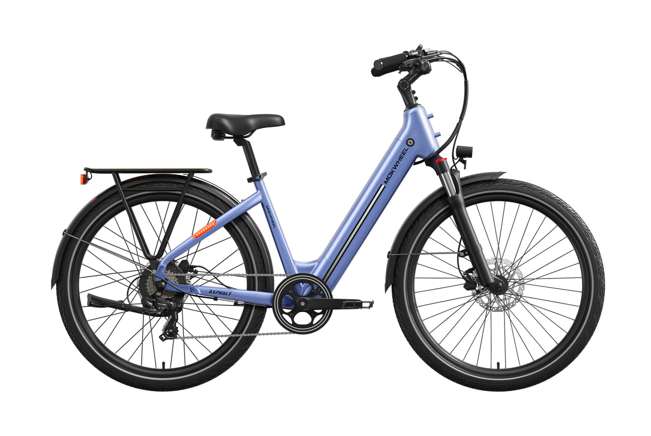 Asphalt ST Ebike
