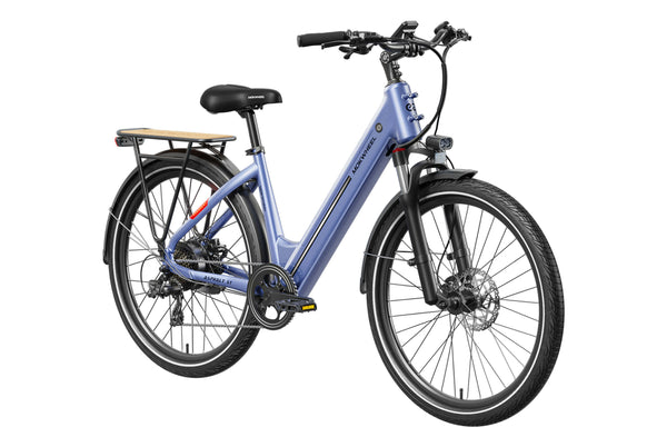 Asphalt ST EbikeStandard / Lapis