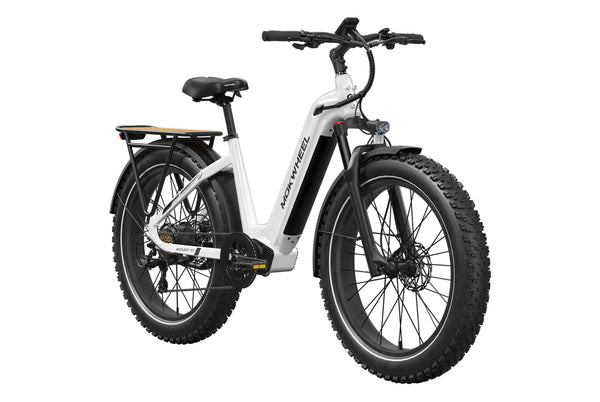Basalt ST EbikeWhite