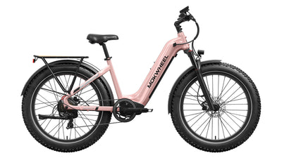 Basalt ST 2.0 Ebike