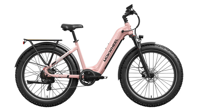 Basalt ST 2.0 Ebike