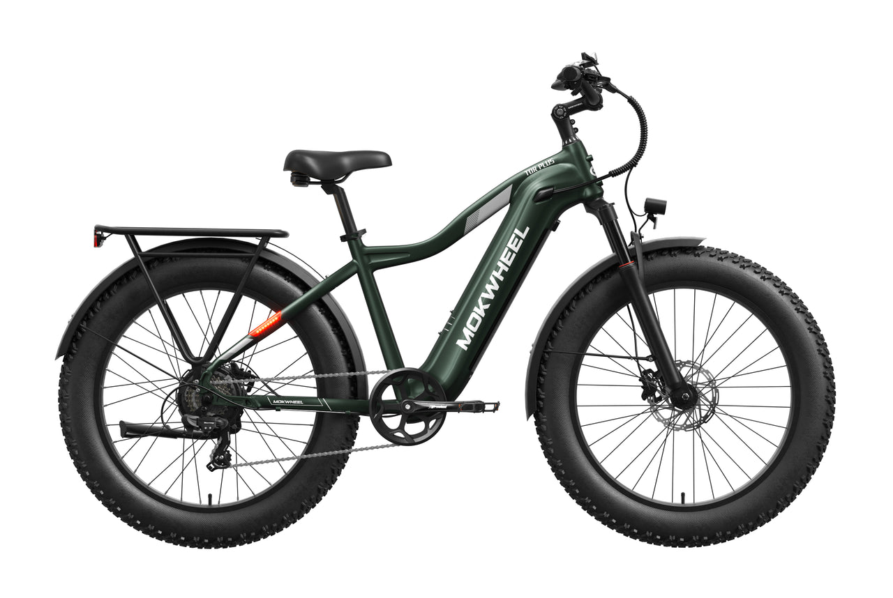 Tor Plus Ebike