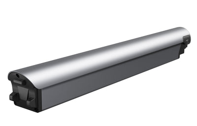Battery(FLINT)
