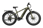 Basalt 2.0 Ebike