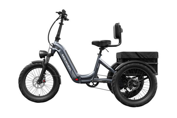 Granite E-TrikeGrey