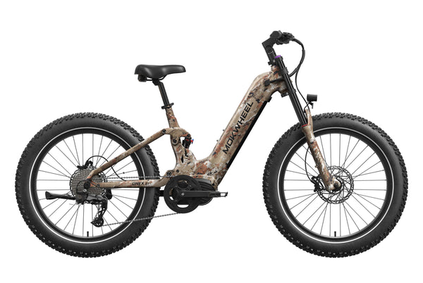 Onyx ST Ebike