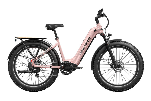 Basalt ST 2.0 EbikeStandard / Crystal Pink
