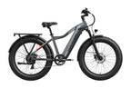 Tor Plus Ebike