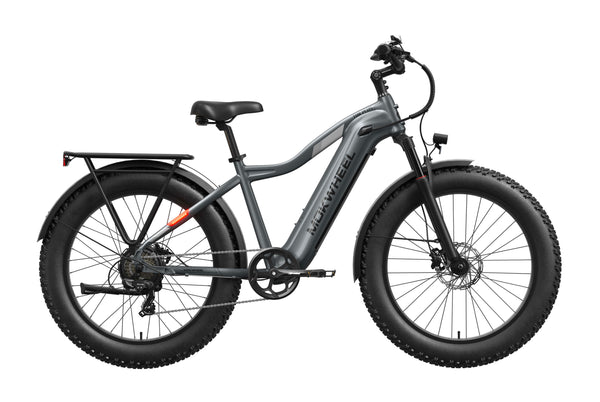 Tor Plus Ebike