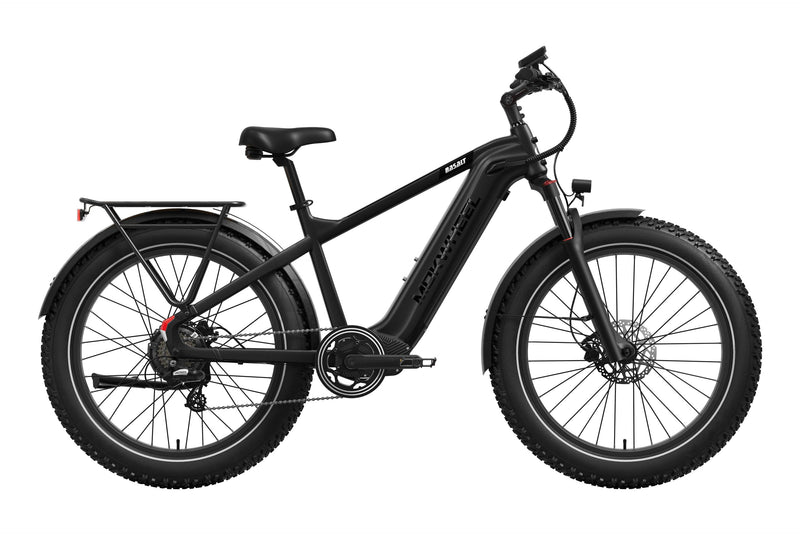 Basalt 2.0 Ebike