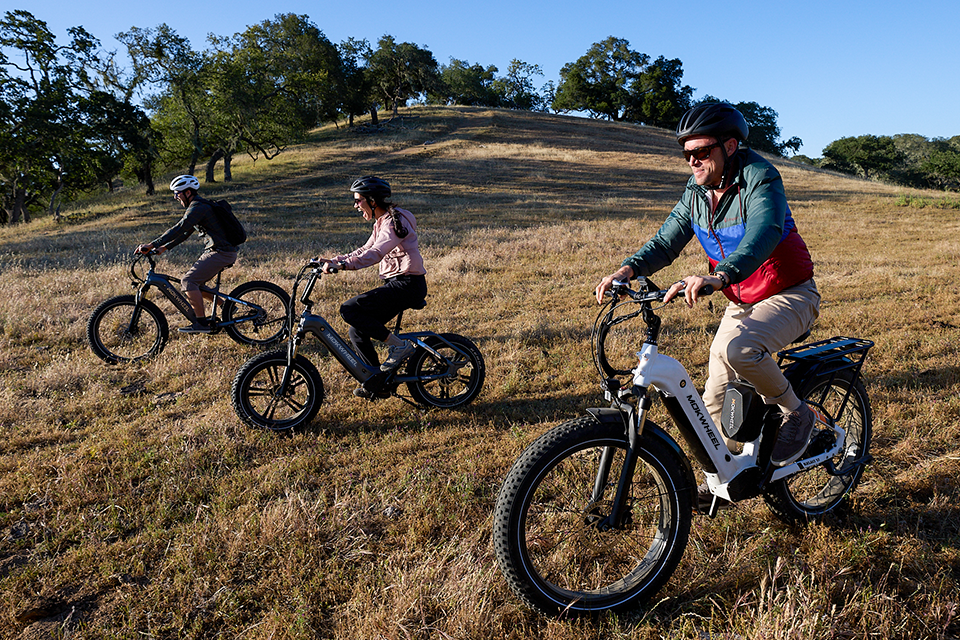 Mokwheel electric bike
