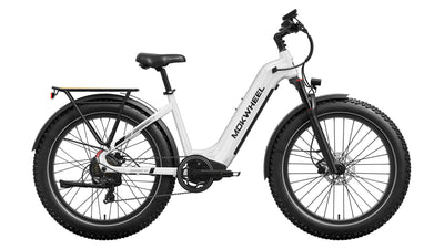 Basalt ST 2.0 Ebike