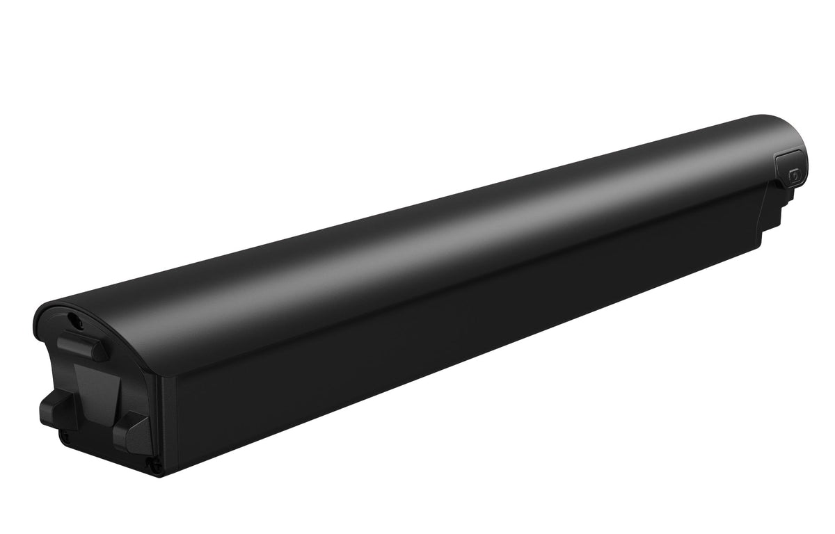 Battery(FLINT)