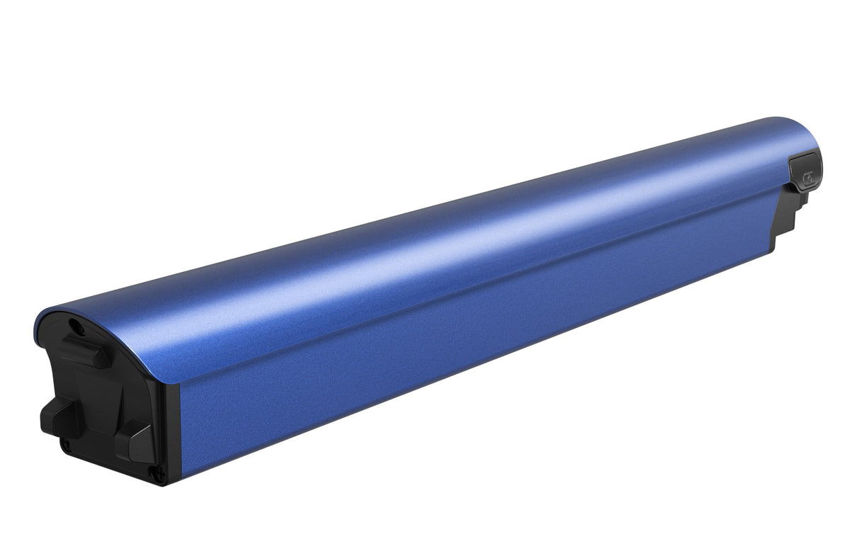 Battery(FLINT)