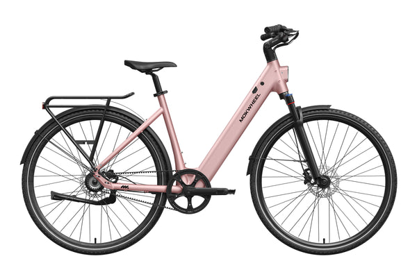 FLINT ST PRO Ebike