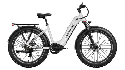 Basalt ST Ebike