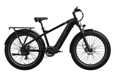 Basalt Ebike