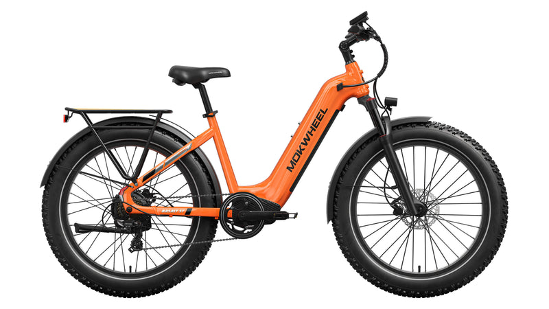 Basalt ST 2.0 Ebike