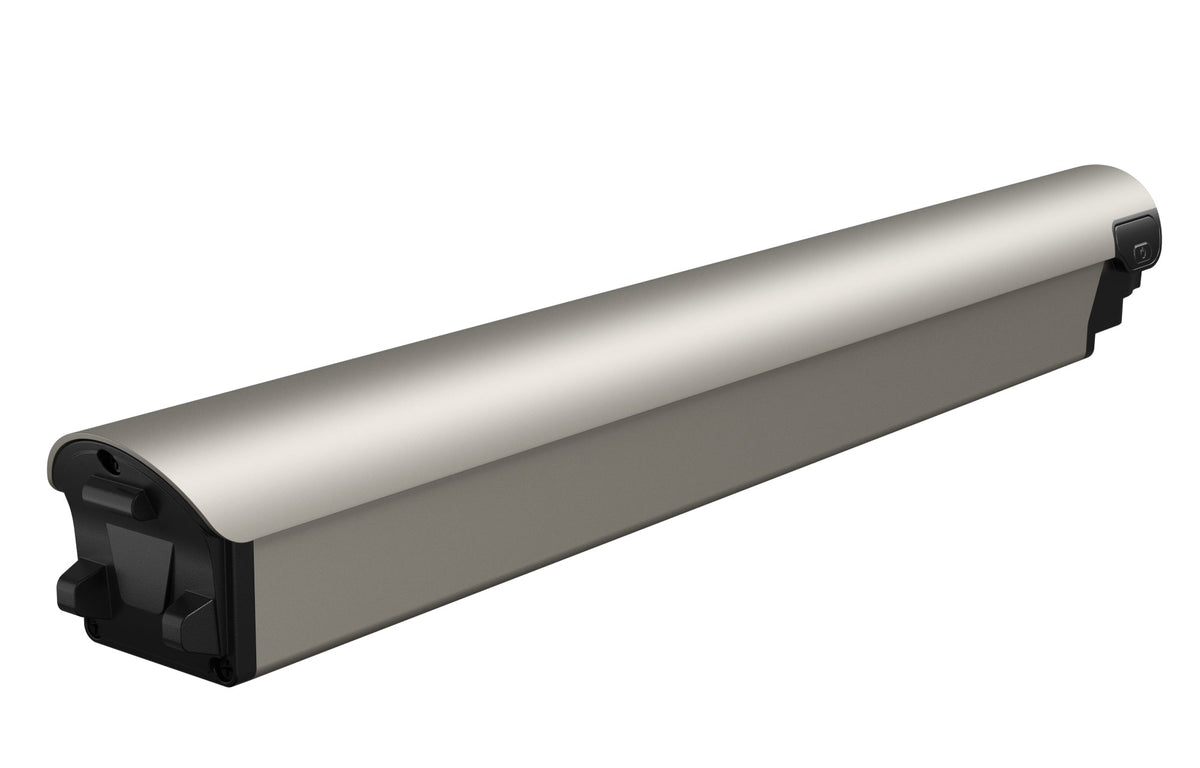 Battery(FLINT)
