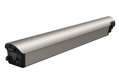 Battery(FLINT)