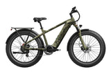 Basalt 2.0 Ebike
