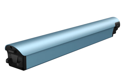Battery(FLINT)