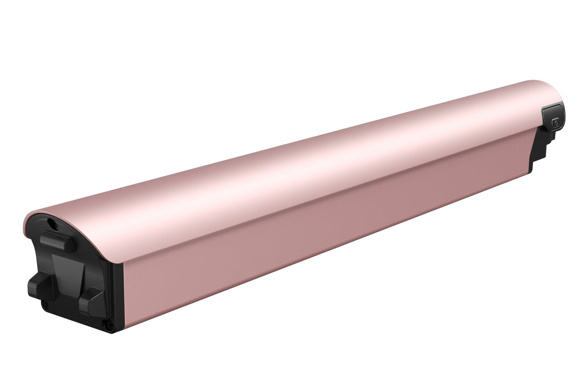 Battery(FLINT)