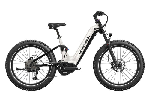 Onyx ST Ebike
