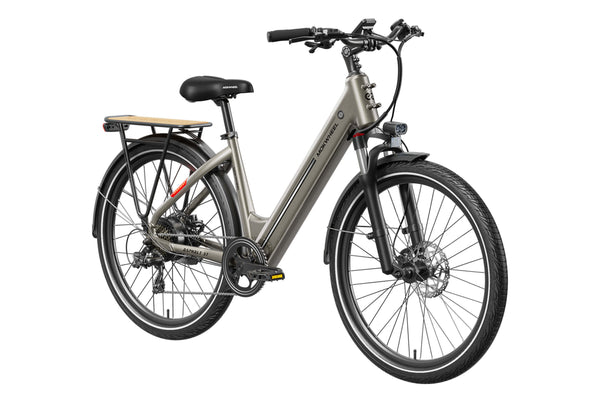 Asphalt ST EbikeStandard / Mocha