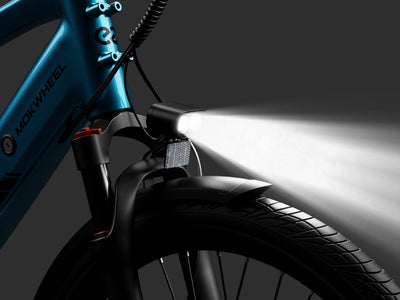 Dual-Bulb Brilliance