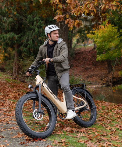 Mokwheel Mesa Plus ST - affordable electric mountain bike
