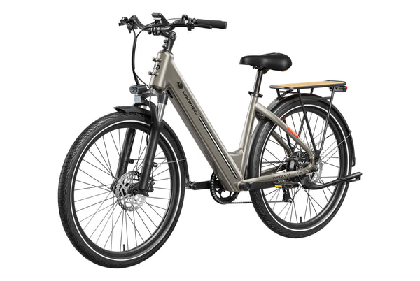 Asphalt ST EbikeStandard / Mocha