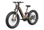 Onyx ST Ebike