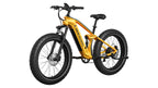 Obsidian Ebike