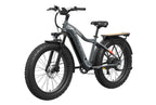 Tor Plus Ebike