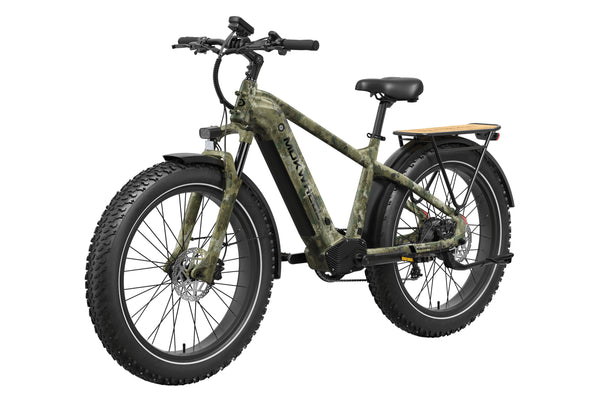Basalt 2.0 Ebike