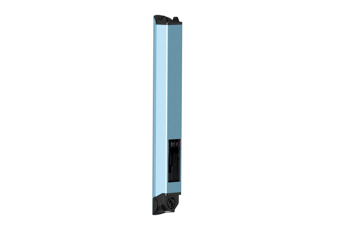 Battery(FLINT)