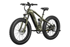 Obsidian Ebike