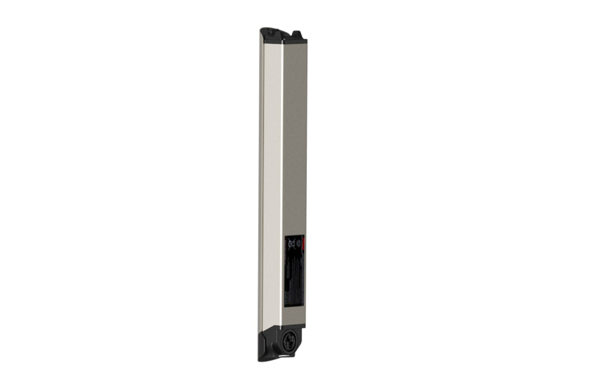 Battery(FLINT)