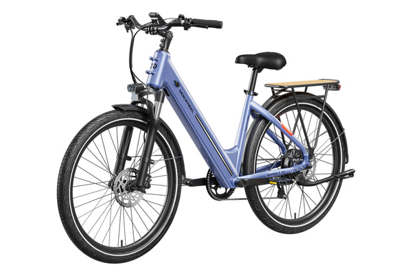 Asphalt ST EbikeStandard / Lapis