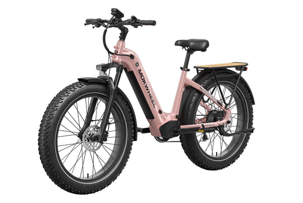 Basalt ST 2.0 EbikeStandard / Crystal Pink