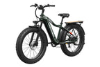 Tor Plus Ebike