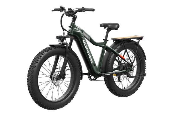 Tor Plus Ebike