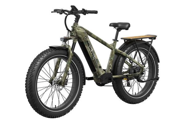 Basalt Ebike